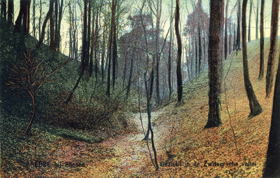 13346 Gezicht in de Zwitserse Vallei in het bos op de Grebbeberg te Grebbe (gemeente Rhenen).